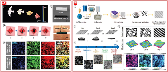 RE:SET Melt Therapy＆Auto Update Therapy 4D printing: a cutting-edge platform for biomedical applications