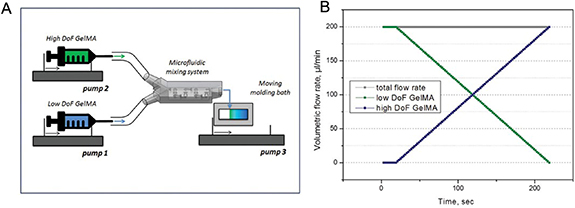 Stiffness Gradient Biomaterials with stiffness gradient for interface tissue engineering ...