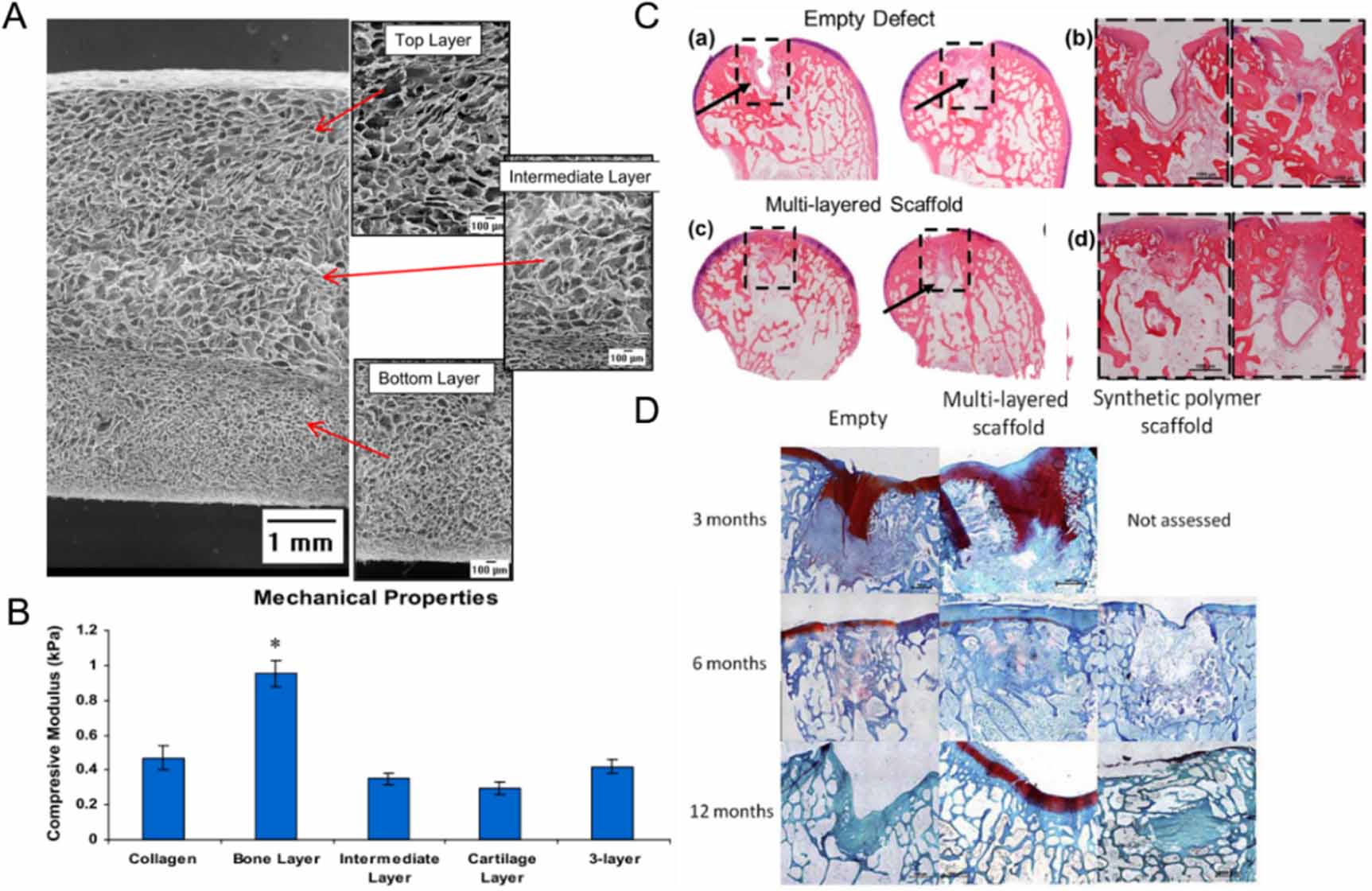 Biomaterials with stiffness gradient for interface tissue engineering ...