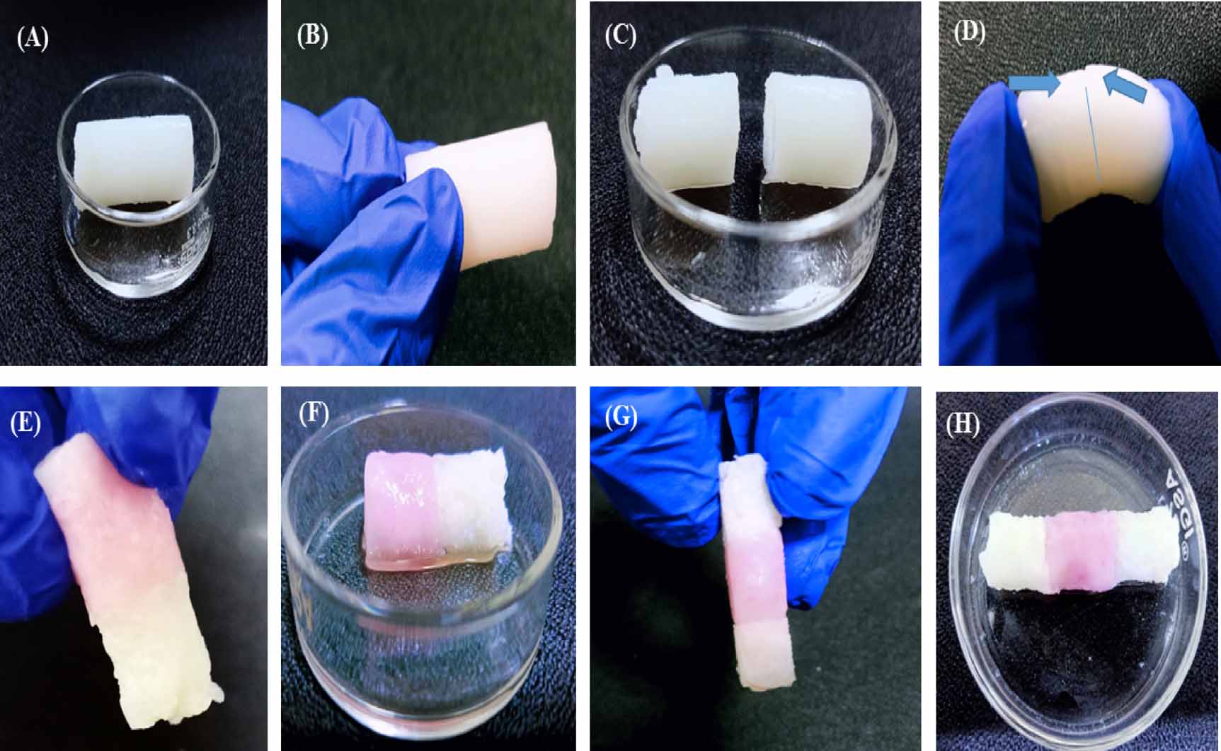 Dual crosslinked injectable protein-based hydrogels with cell anti ...