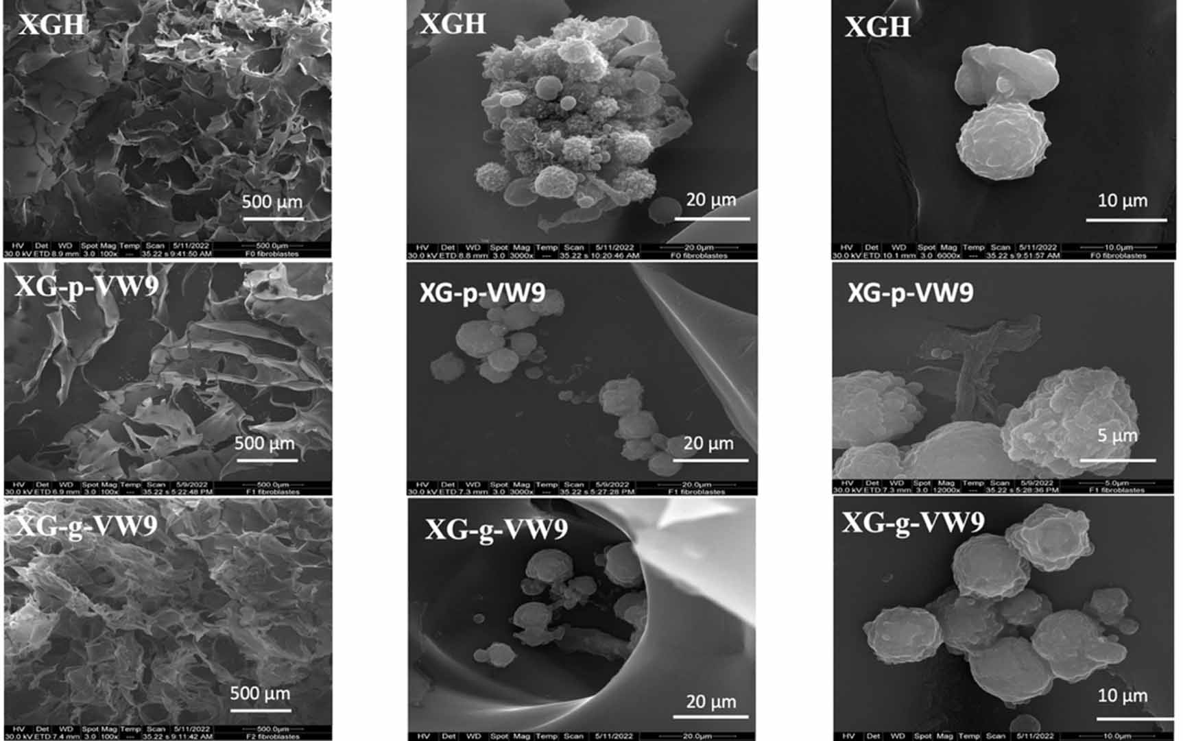 Improved antiinflammatory properties of xanthan gum hydrogel