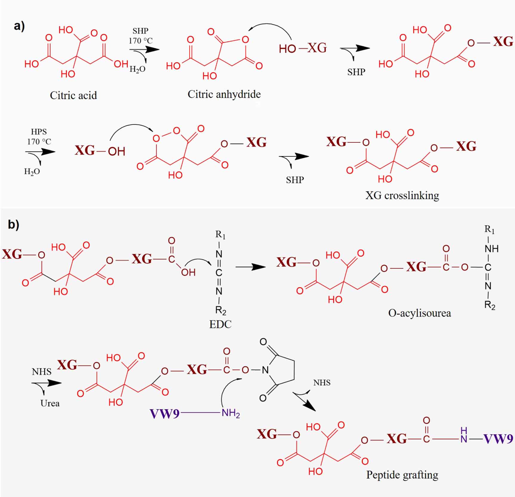 Improved antiinflammatory properties of xanthan gum hydrogel