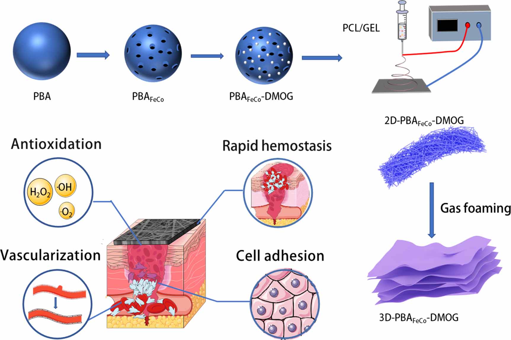 3D nanofiber sponge with dimethyloxaloglycine-loaded Prussian blue