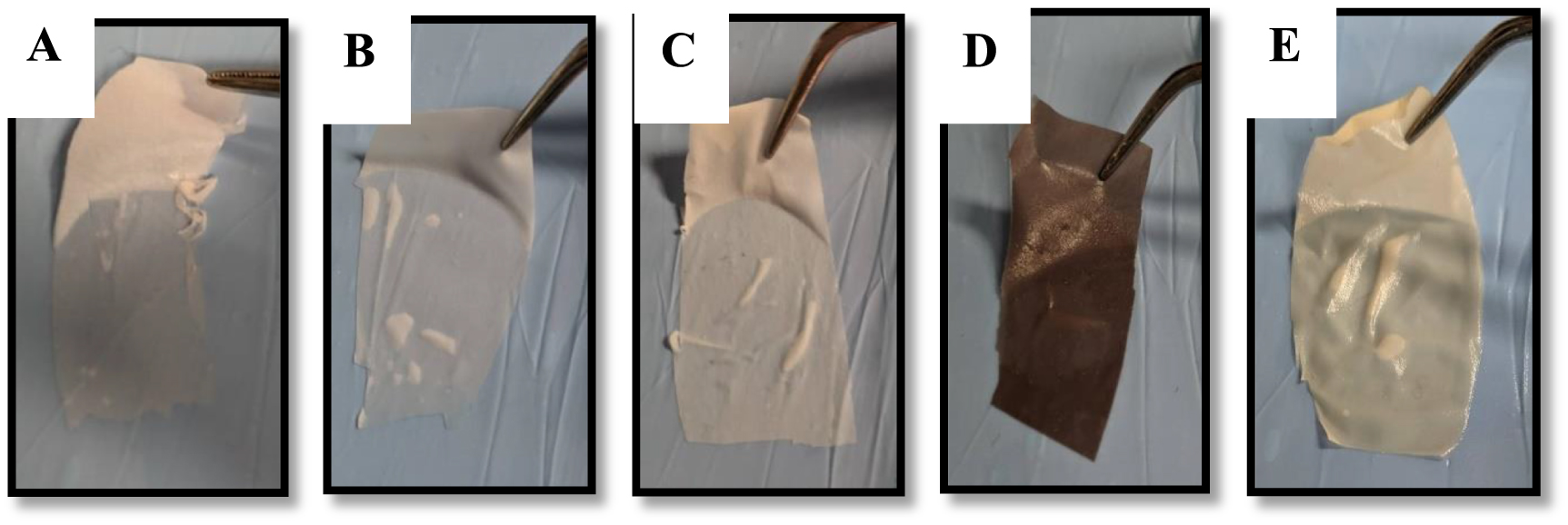 DRIVE 1993～2009～2026 -GLAY complete BEST The chicken eggshell membrane: a versatile, sustainable