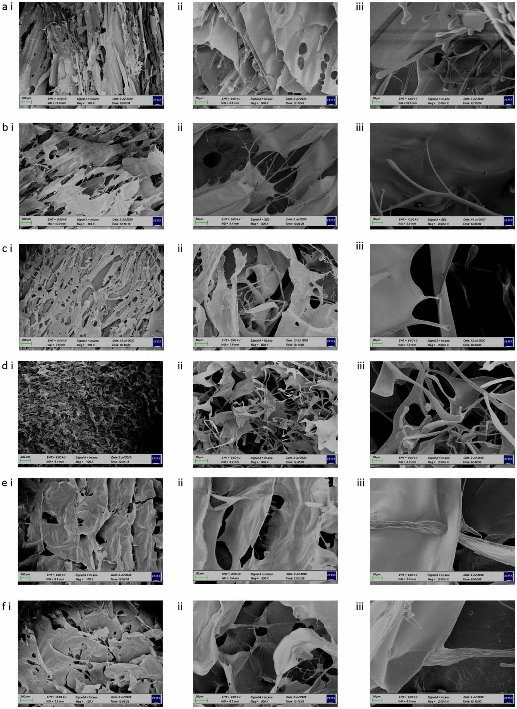 Alginate Rigid Rod Tannic acid-loaded chitosan-RGD-alginate scaffolds for wound healing ...