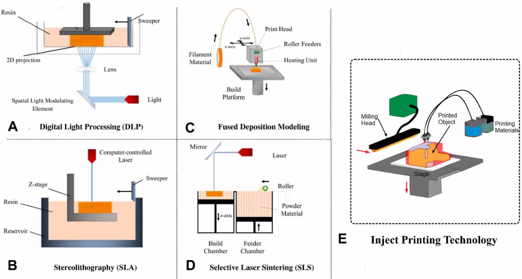 Recent advances and future directions of 3D to 6D printing in brain ...