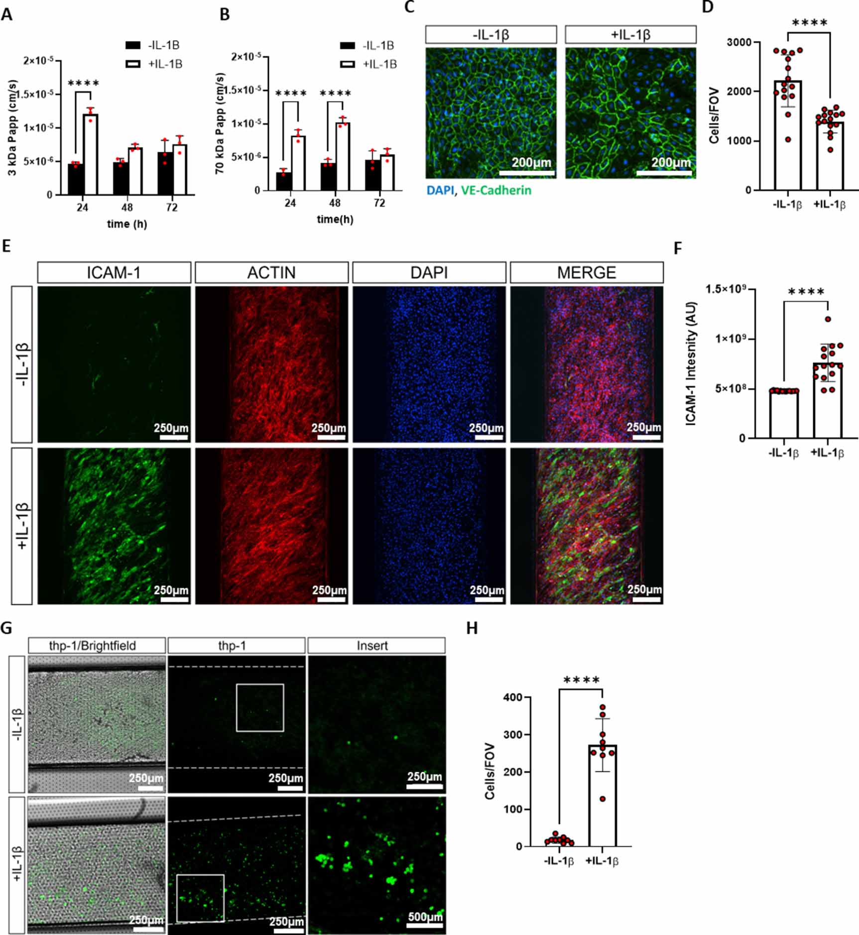 Human vascularised synovium-on-a-chip: a mechanically stimulated ...