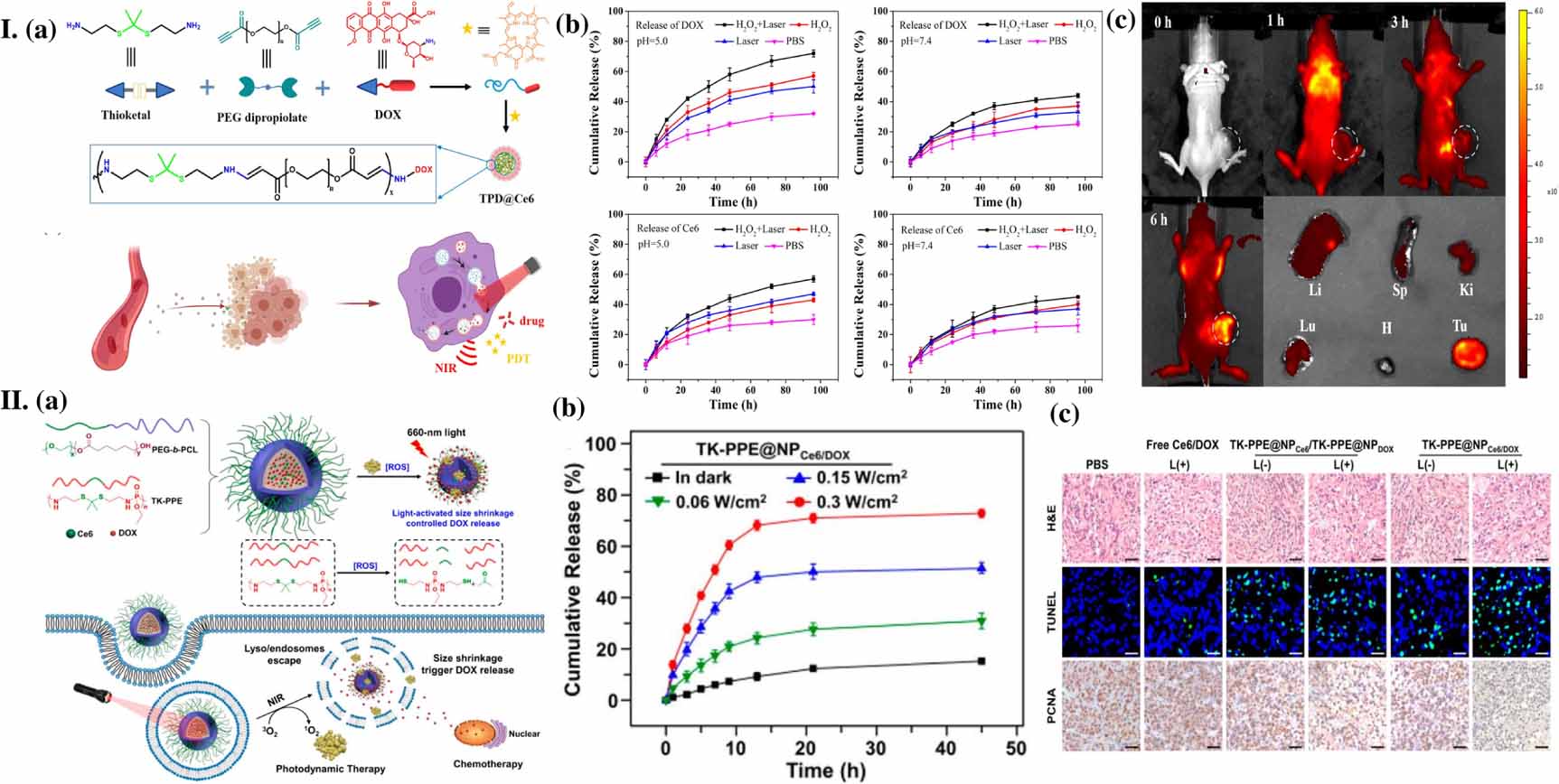 Recent advances of polymeric nanoplatforms for cancer treatment: smart ...