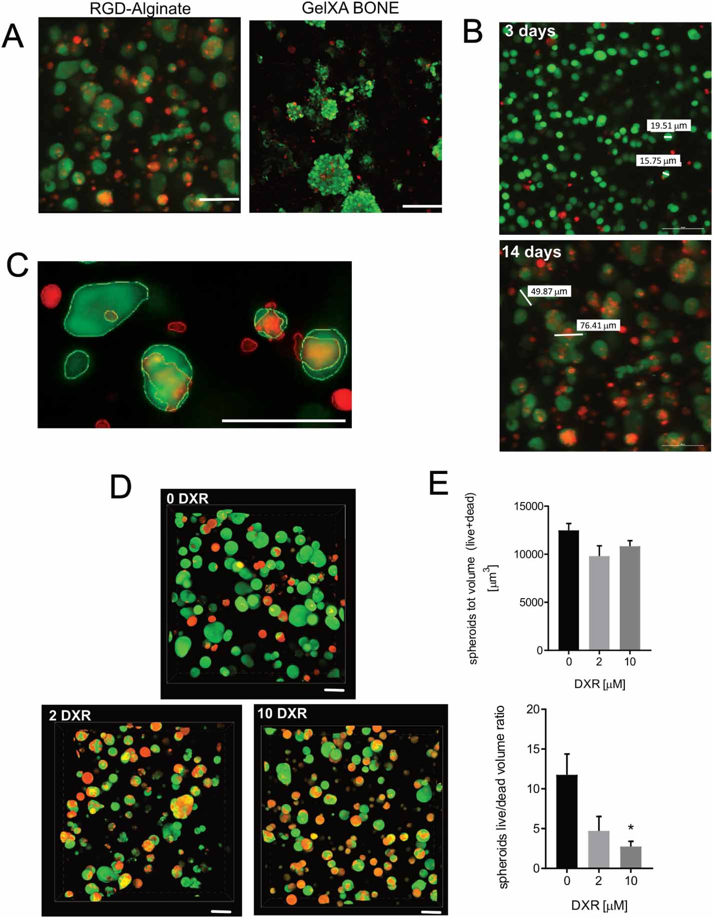 Advantages and limitations of using cell viability assays for 3D ...