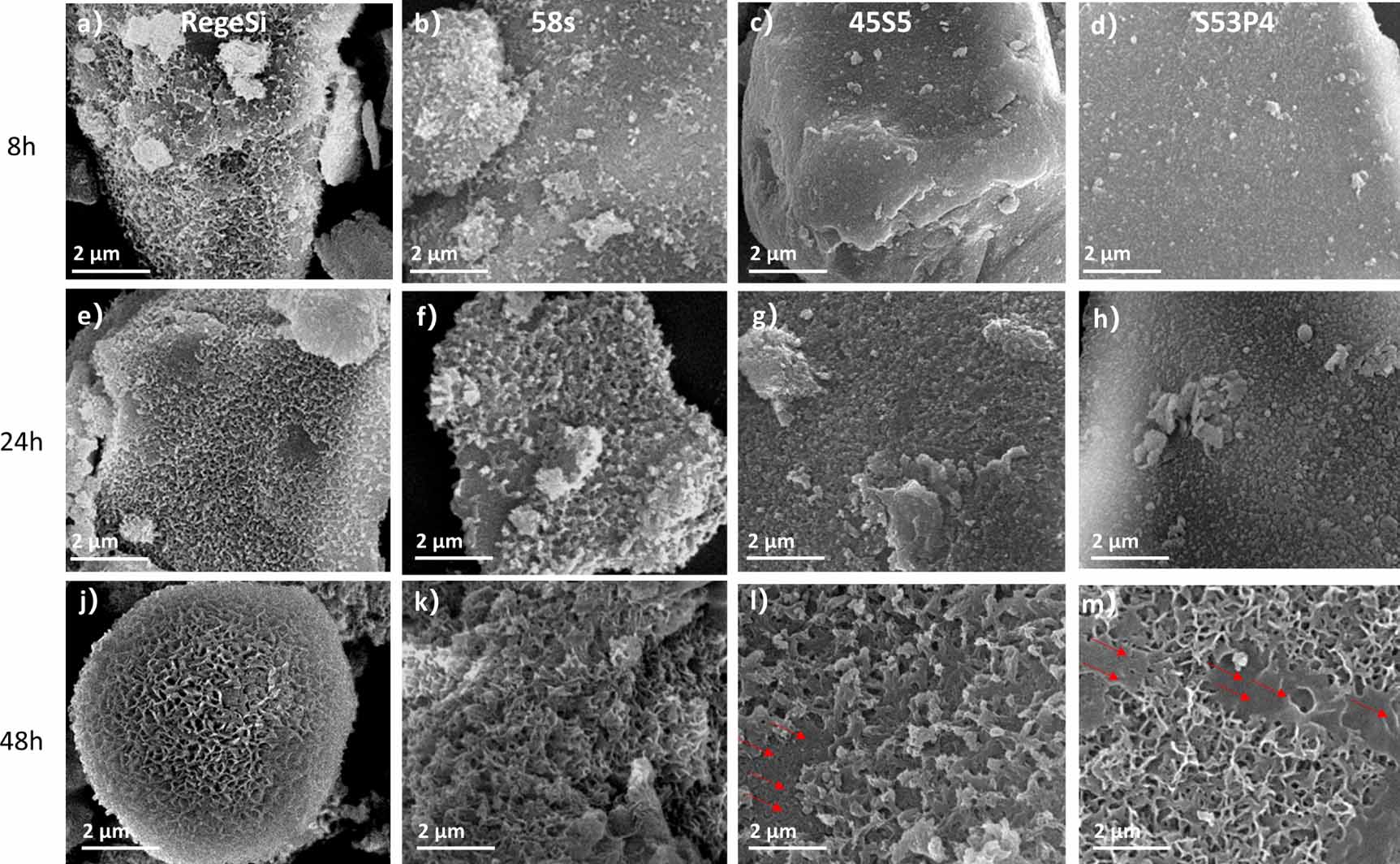 Ecofriendly and scalable production of bioglass using an organic ...