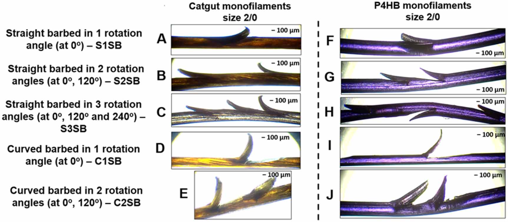 What R Subbarbs Mechanical fabrication and evaluation of bioresorbable barbed sutures ...
