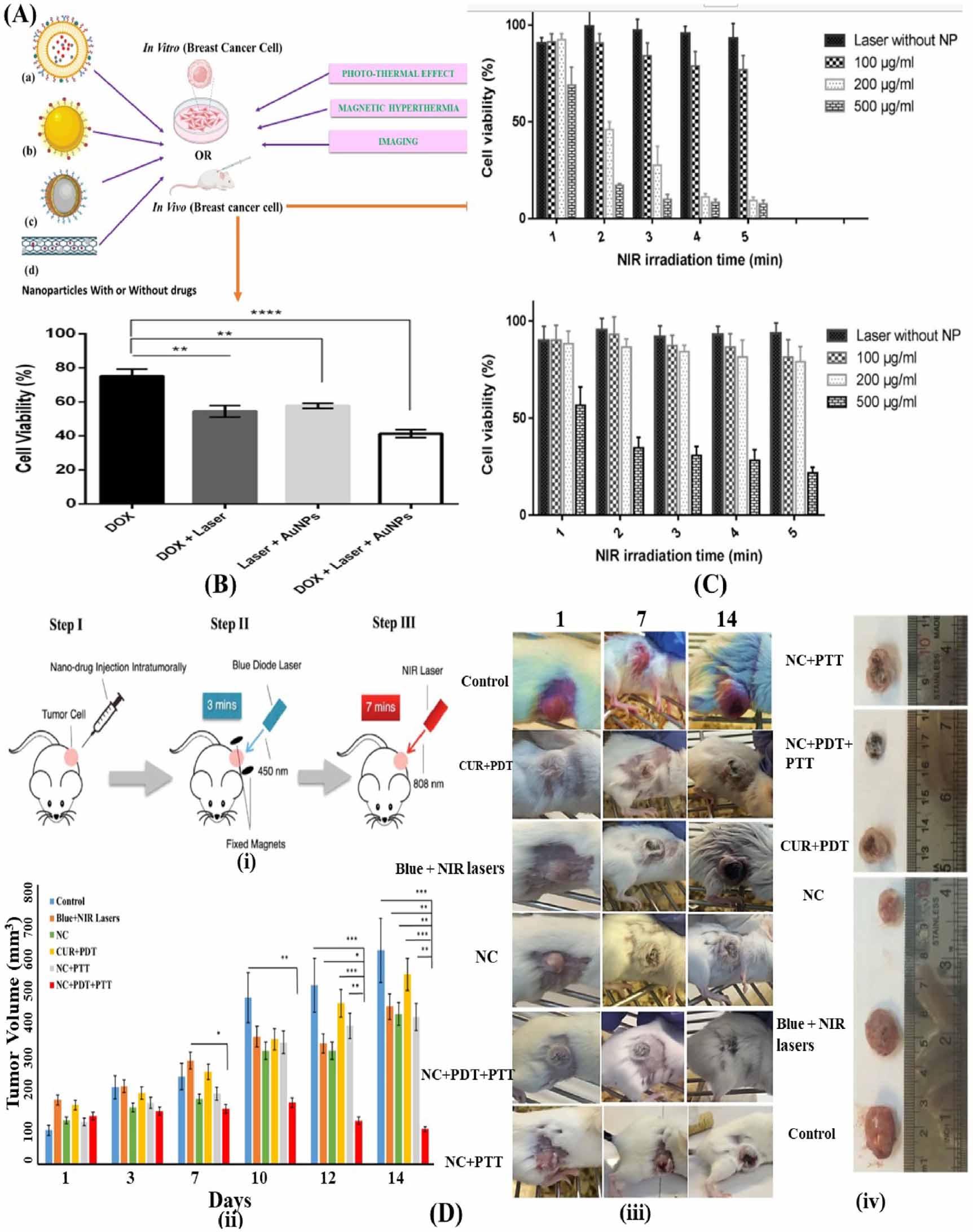 Current development of theragnostic nanoparticles for women’s cancer ...