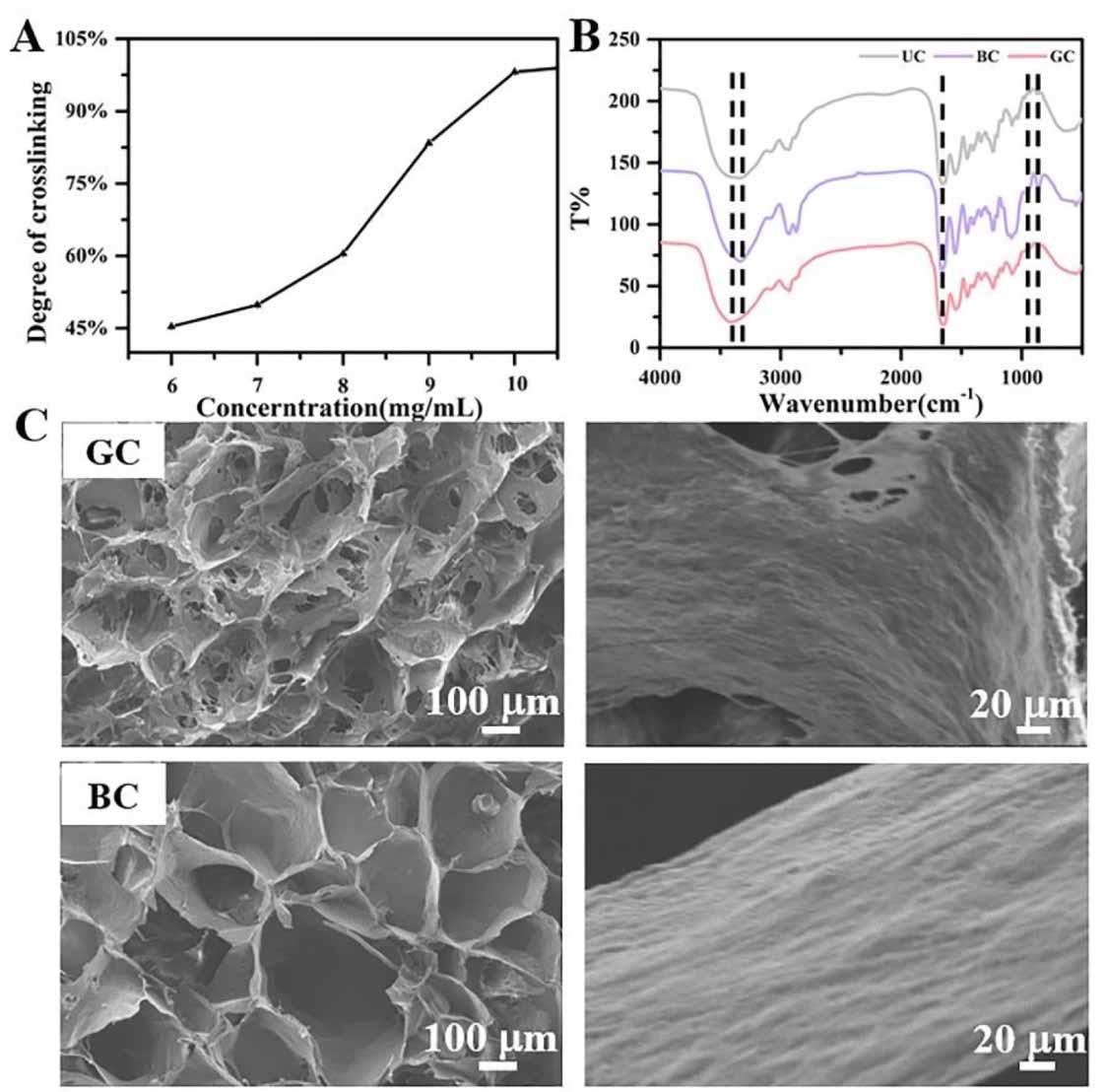 Engineering a durable BDDE cross-linked collagen filler for skin ...