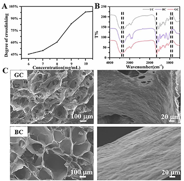 Engineering a durable BDDE cross-linked collagen filler for skin ...