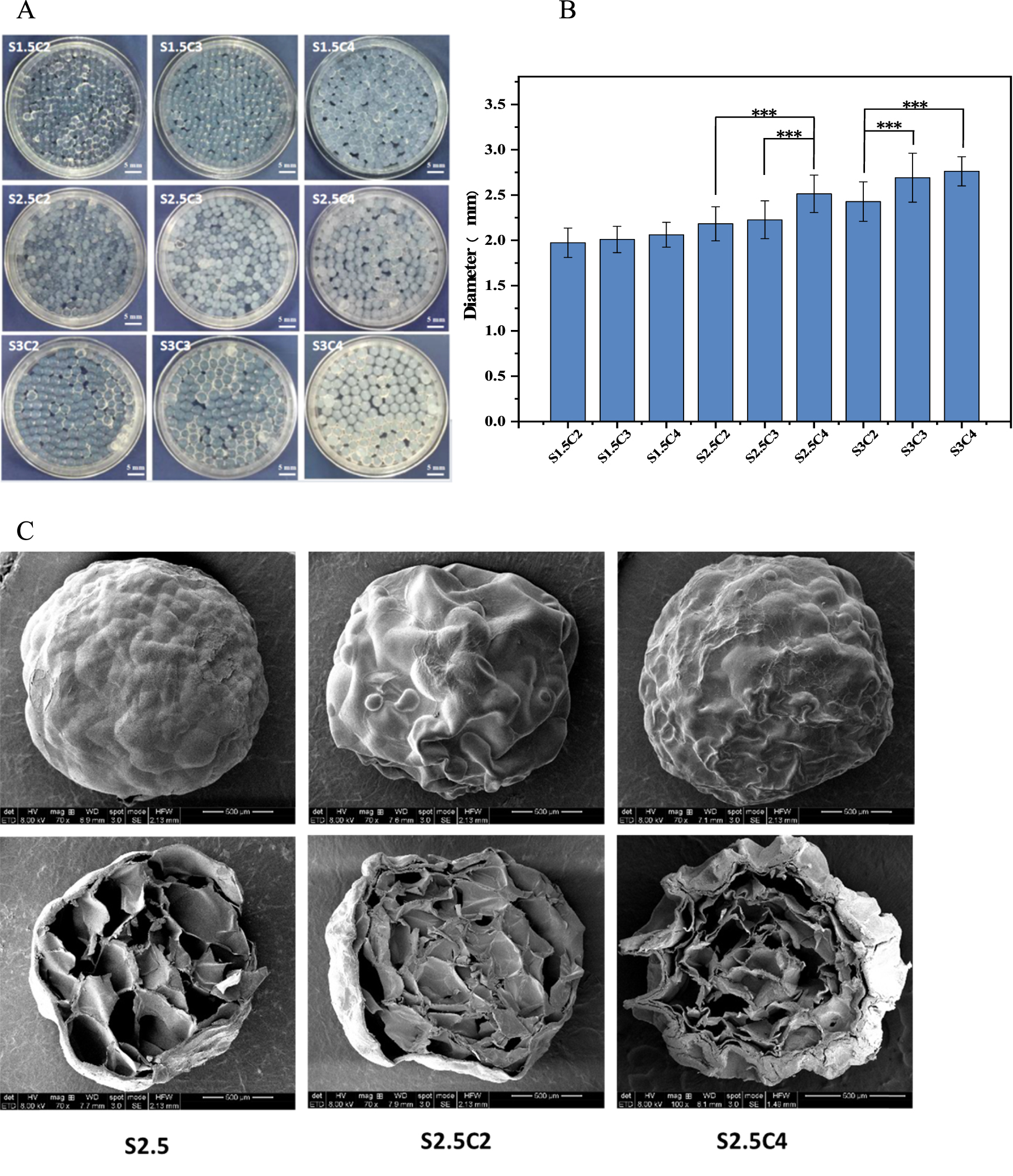Incorporation of carboxymethyl chitosan (CMCS) for the modulation of ...