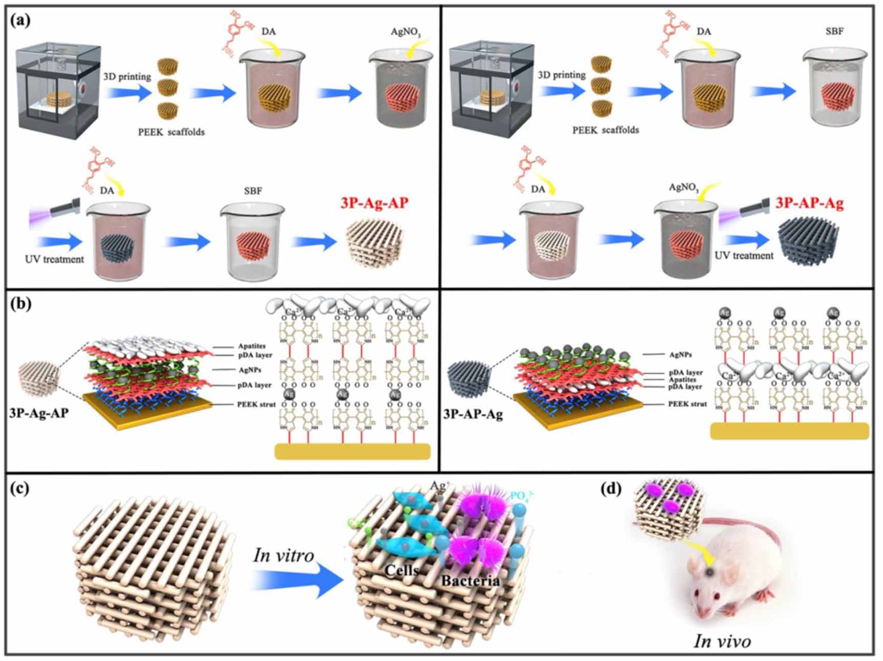4D printing of smart scaffolds for bone regeneration: a systematic ...