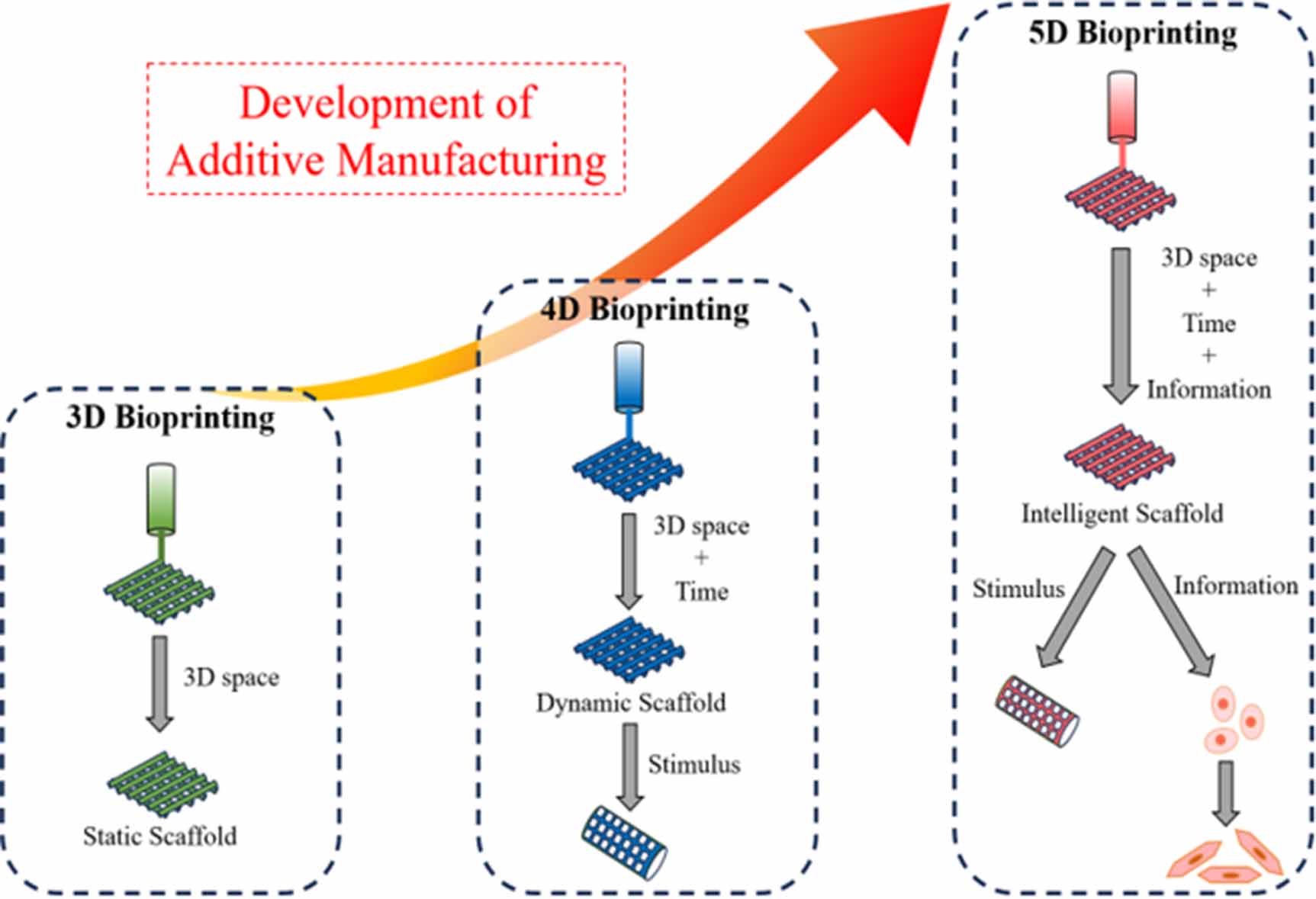 From lab to life: advances in in-situ bioprinting and bioink technology ...