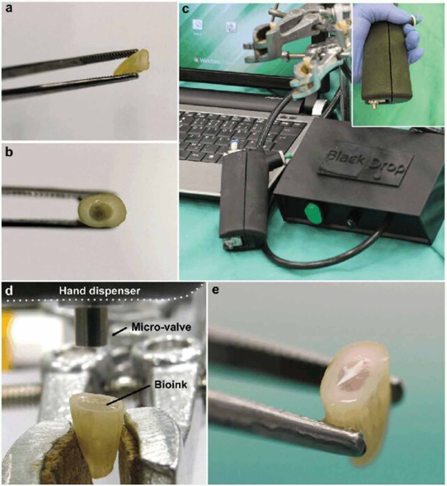 Hand-held bioprinters assisting in situ bioprinting - IOPscience