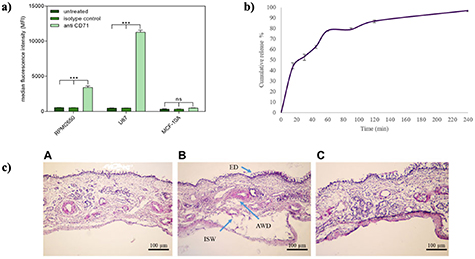Chitosan nanoparticles: a versatile frontier in drug delivery and wound ...