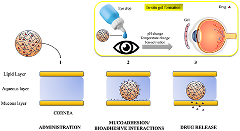 Chitosan nanoparticles: a versatile frontier in drug delivery and wound ...