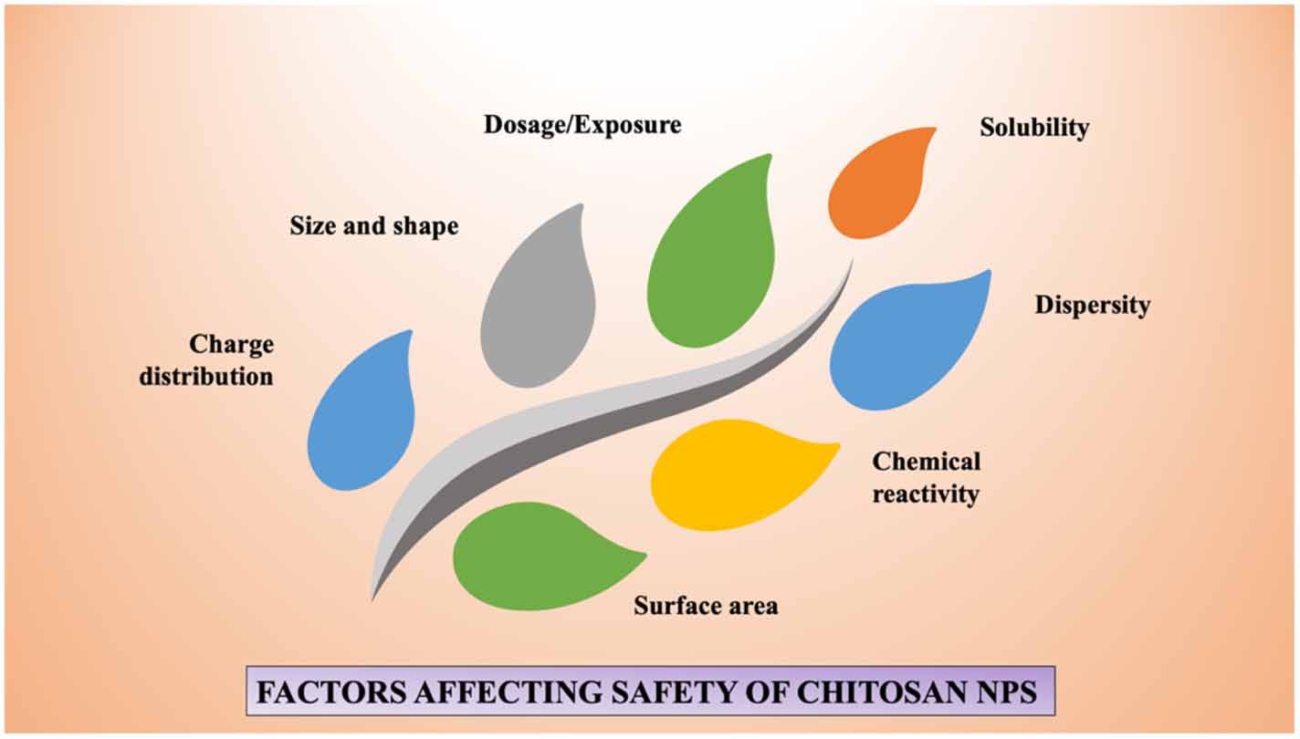 Chitosan nanoparticles: a versatile frontier in drug delivery and wound ...