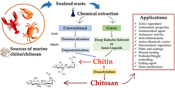 Chitosan nanoparticles: a versatile frontier in drug delivery and wound ...