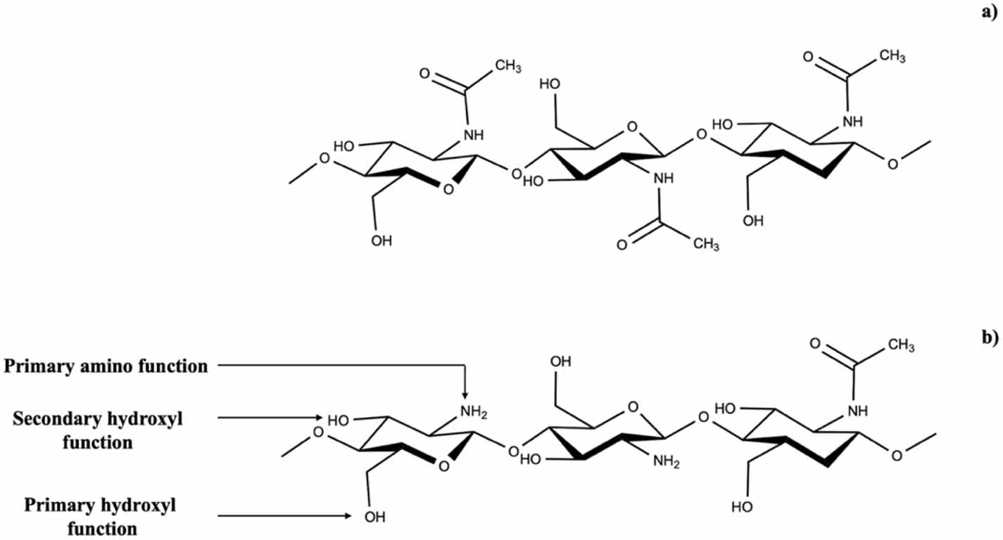 Chitosan nanoparticles: a versatile frontier in drug delivery and wound ...