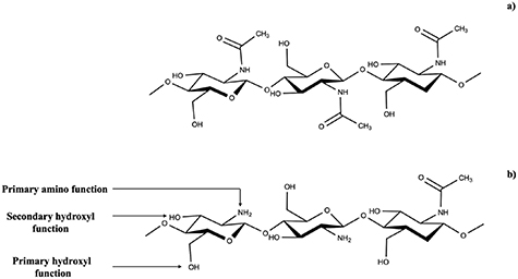 Chitosan nanoparticles: a versatile frontier in drug delivery and wound ...