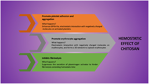 Chitosan nanoparticles: a versatile frontier in drug delivery and wound ...