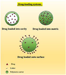 Chitosan nanoparticles: a versatile frontier in drug delivery and wound ...