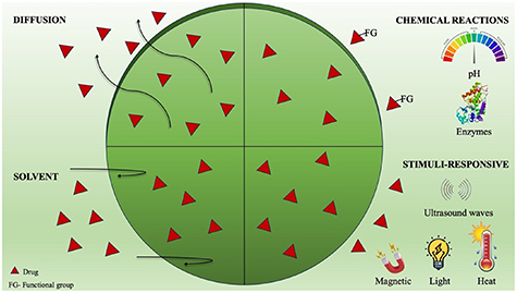Chitosan nanoparticles: a versatile frontier in drug delivery and wound ...