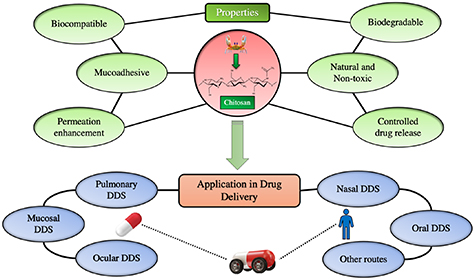 Chitosan nanoparticles: a versatile frontier in drug delivery and wound ...