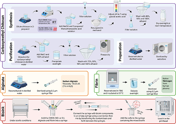 Investigation of novel carboxymethyl chitosan-based bioinks for 3D ...