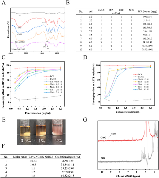 Xanthan gum-based protocatechuic acid grafted carboxymethyl chitosan ...