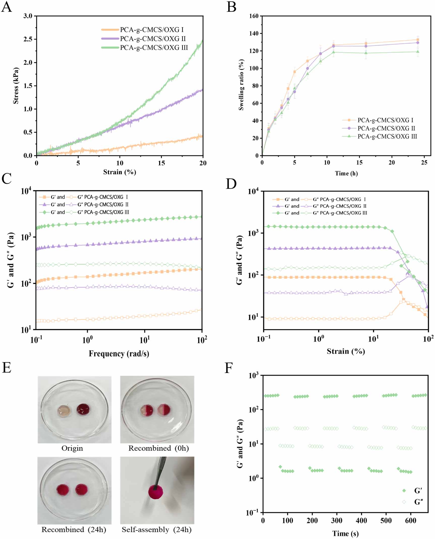 Xanthan gum-based protocatechuic acid grafted carboxymethyl chitosan ...