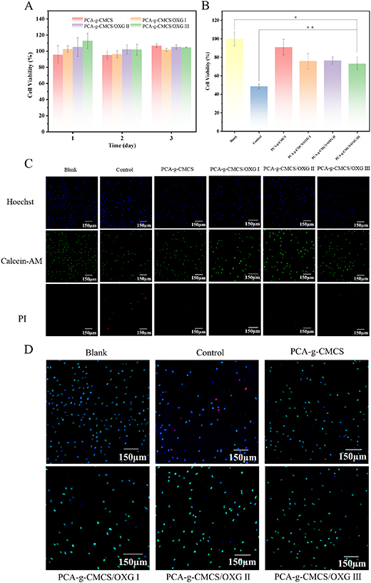 Xanthan gum-based protocatechuic acid grafted carboxymethyl chitosan ...