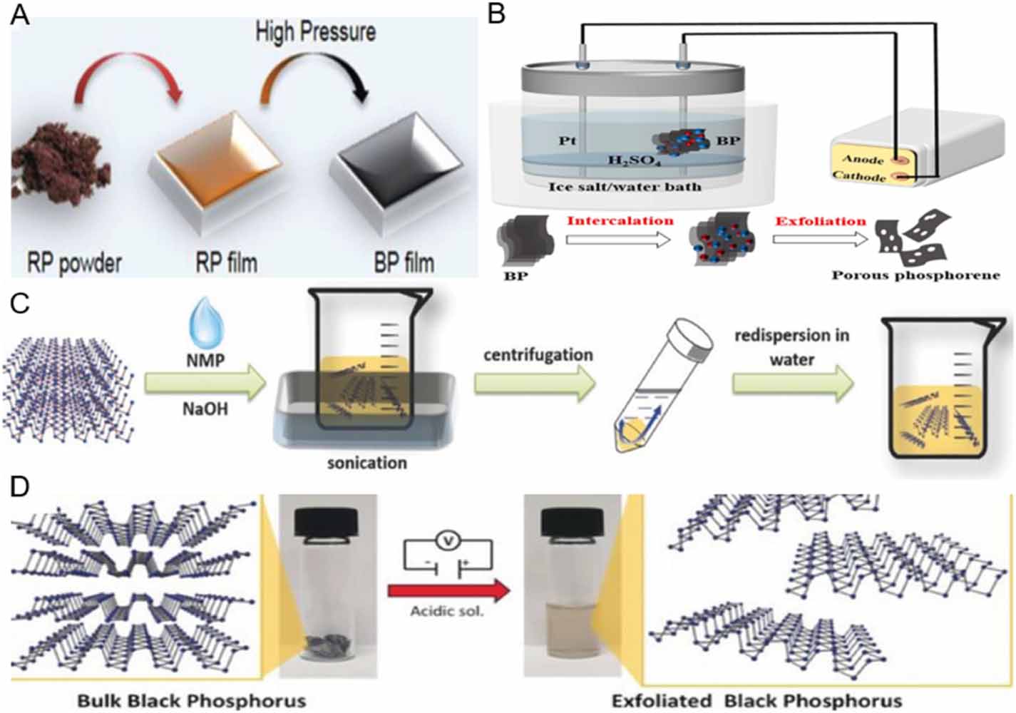 Black phosphorus nanosheets in orthopedics: from material fabrications ...