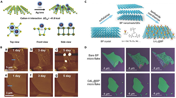 Black phosphorus nanosheets in orthopedics: from material fabrications ...