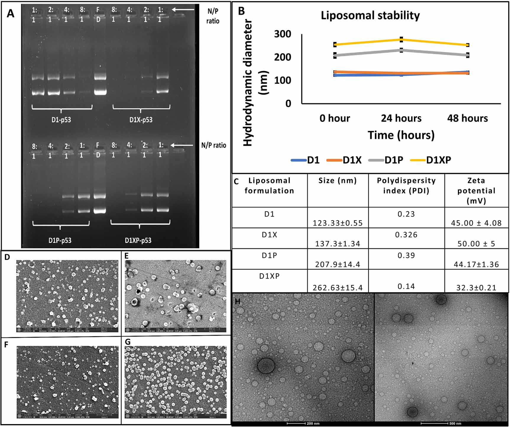 Glucocorticoid receptor-mediated delivery of paclitaxel and anticancer ...