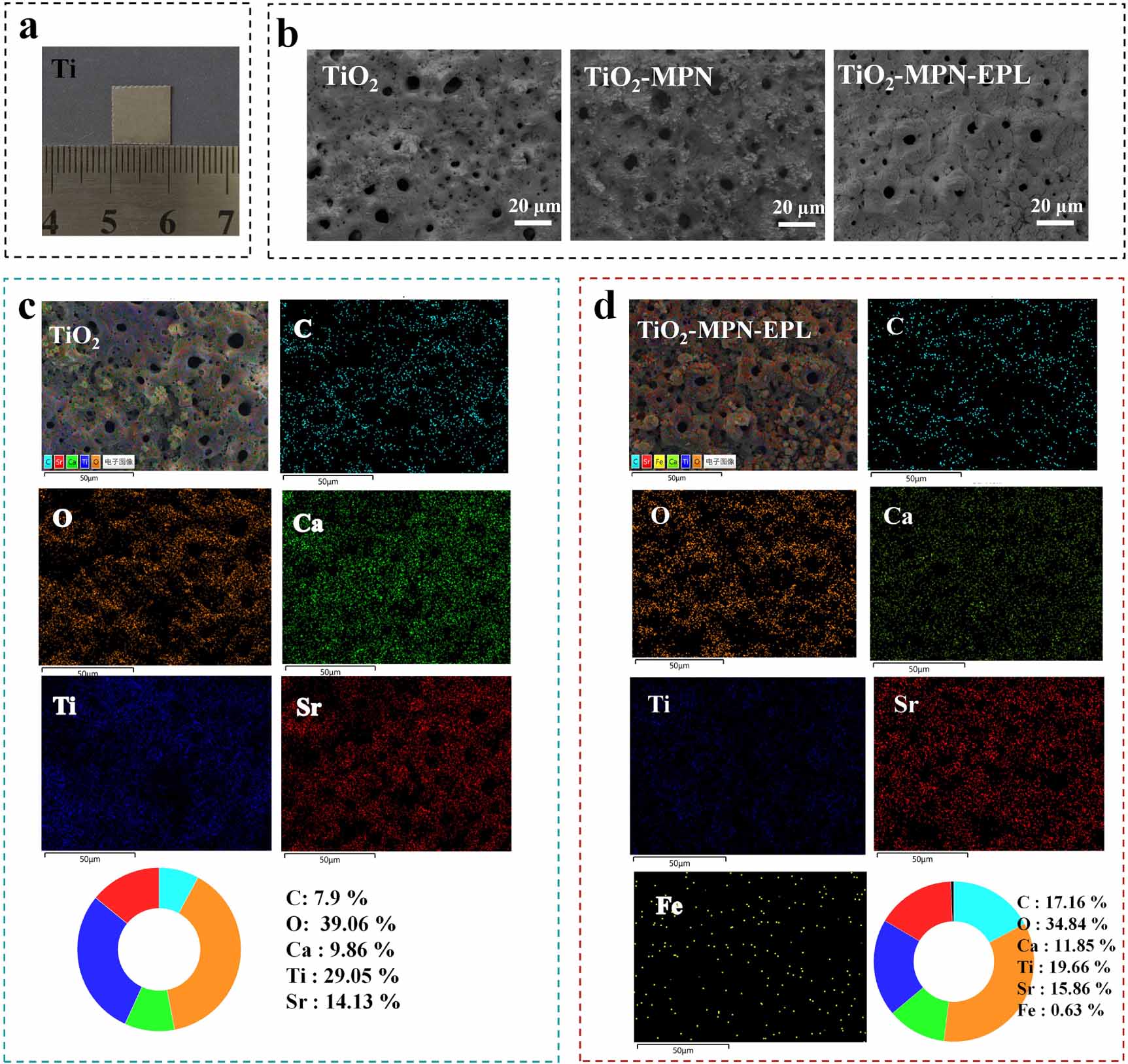 Journal Tio2 Coating Construction and antibacterial performance study of strontium-doped ...