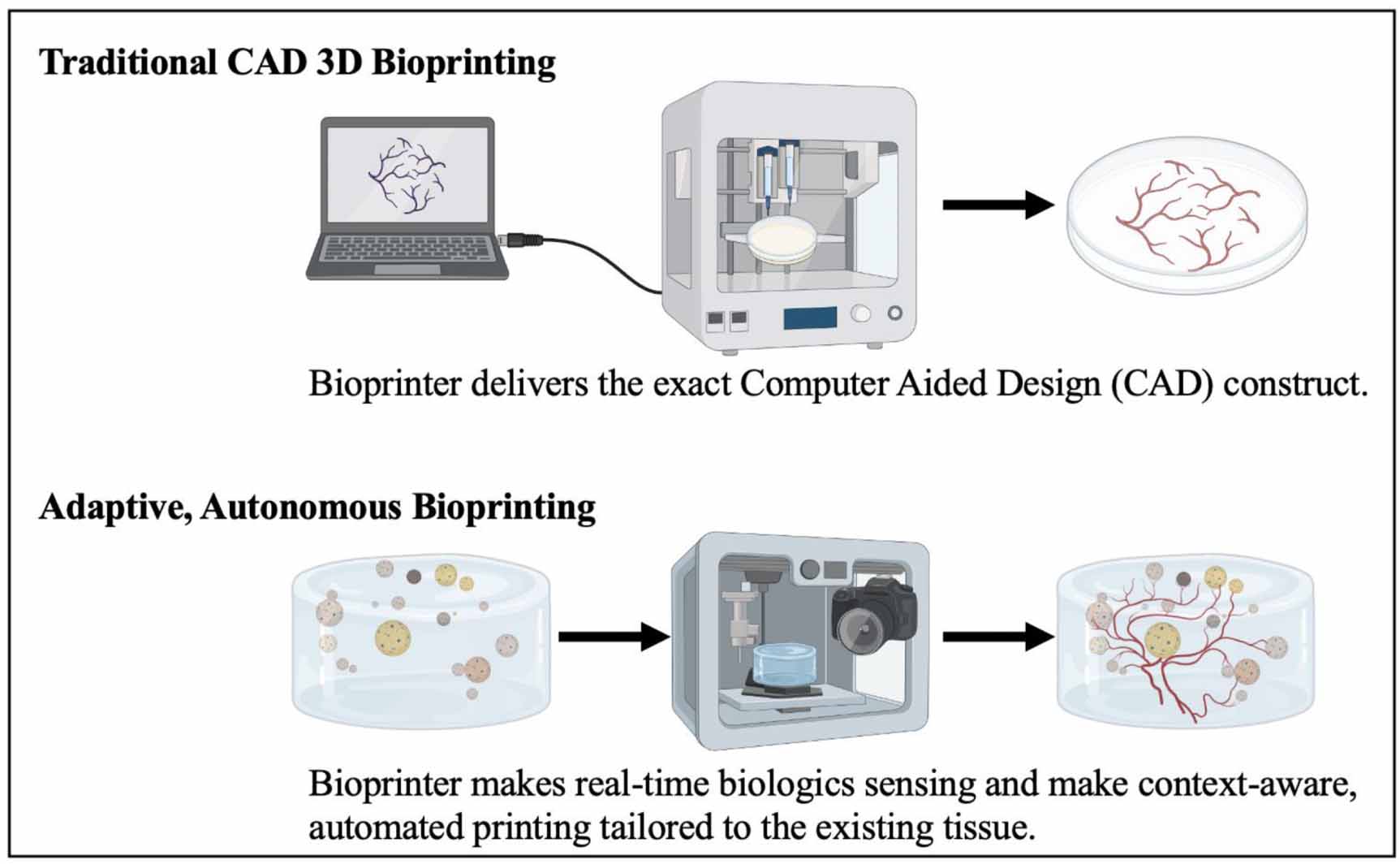 3D bioprinting of cell-laden constructs: technologies, bioink design ...