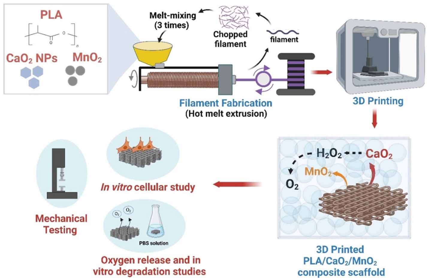 Bone O2 Oxygen-enhanced 3D-printed scaffolds for repair of ischemic bone ...