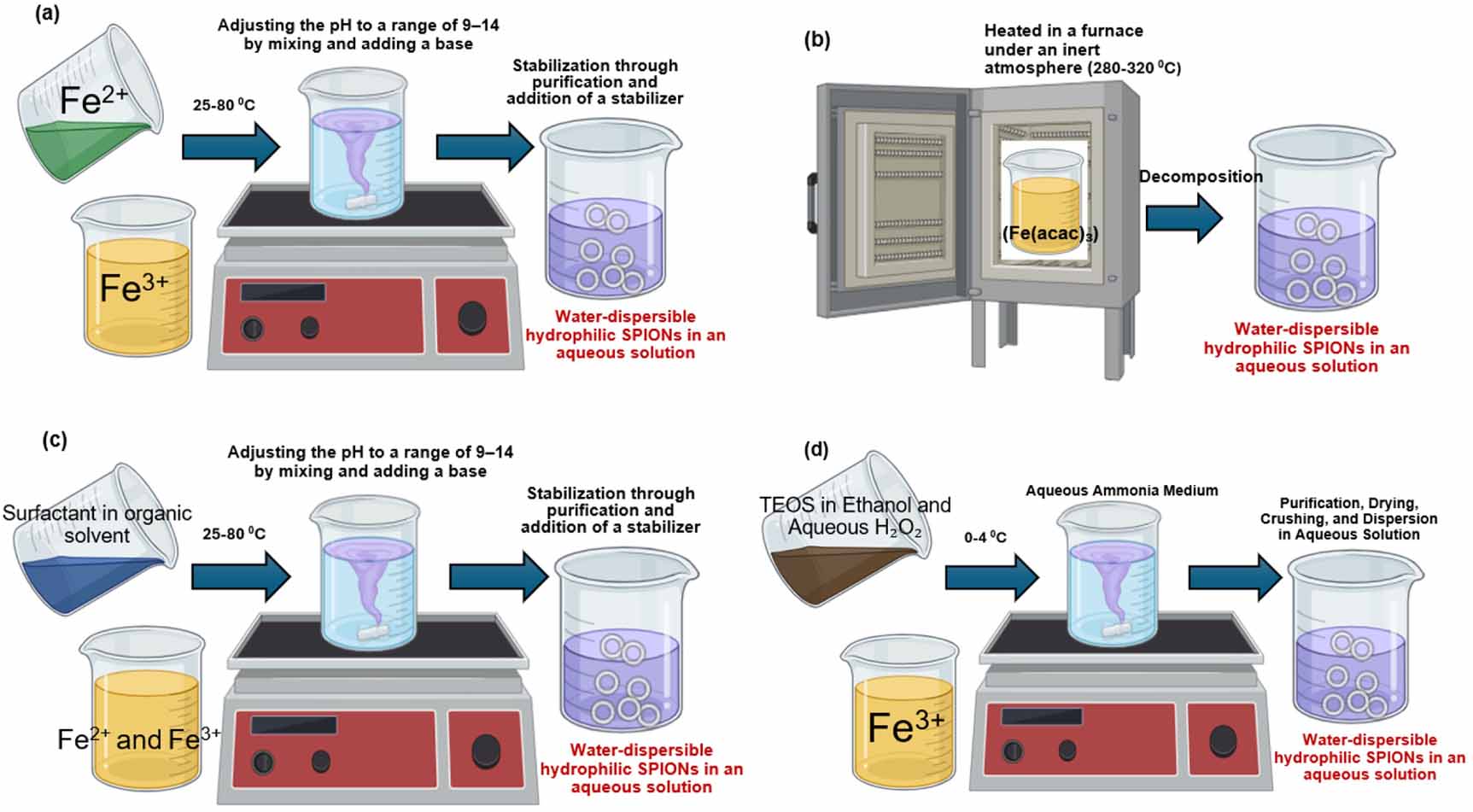 Superparamagnetic nanoparticles' potential in hyperthermia therapy