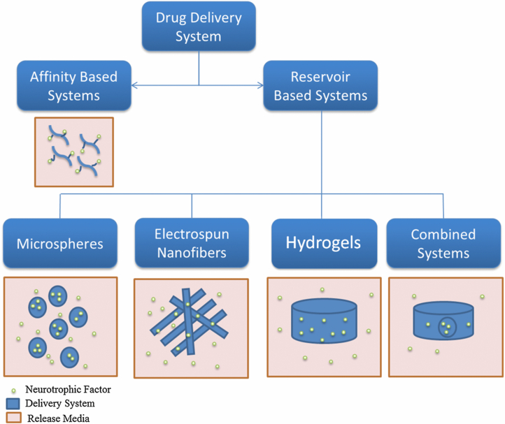 Biomaterial-based drug delivery systems for the controlled release of ...