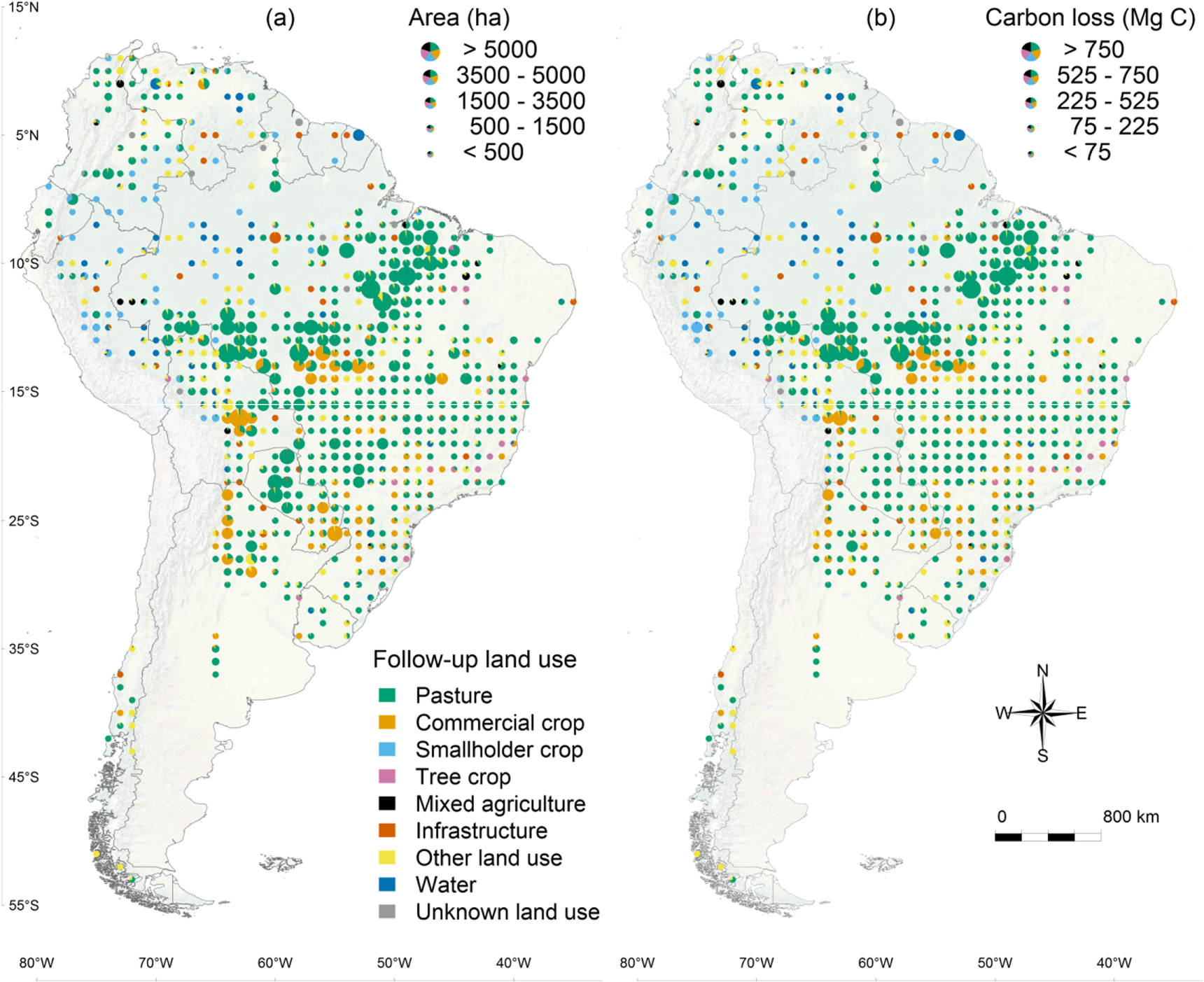 Land use patterns and related carbon losses following deforestation in ...