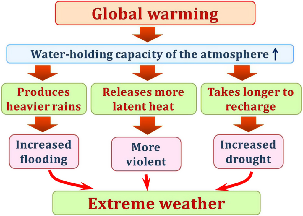 Focus on extreme events and the carbon cycle - IOPscience