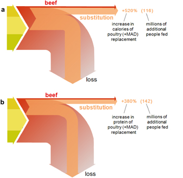 Figure 3. Refer to the following caption and surrounding text.
