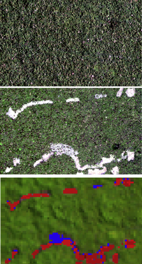 Figure 10. Refer to the following caption and surrounding text.