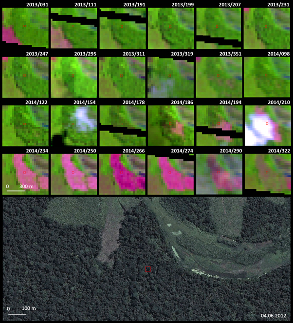 Figure 4. Refer to the following caption and surrounding text.