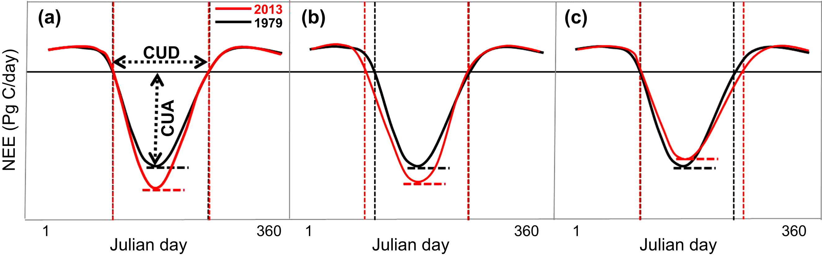 Long term trend and interannual variability of land carbon uptake—the ...
